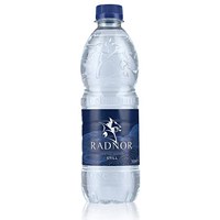 Radnor Hills Still Water, Plastic Bottles, 500ml, Pack of 24