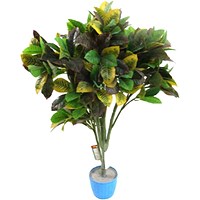 Fixtures Artificial Green Variegated Leaf Croton Tree, 75cm