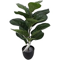 Fixtures Artificial Green Ficus Iyrata Tree, 50cm