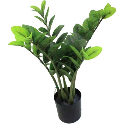 Fixtures Artificial Green Zamioculcas Zamiifolia Tree, 50cm