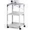 Durable Sytem Multimedia Trolley, Grey