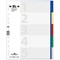 Durable 5 Part Coloured Tab Index Punched File Dividers, 5 Part Multicolour Tabs, A4+, Multicolour