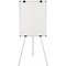 Bi-Office Earth Kyoto Tripod Magnetic Easel, Silver