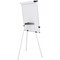 Bi-Office Earth Kyoto Tripod Magnetic Easel, With Paper Roll, With Extendable Arms, Silver