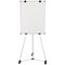 Bi-Office Earth Kyoto Mobile Magnetic Easel, Silver