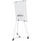 Bi-Office Earth Kyoto Mobile Magnetic Easel, Silver