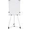 Bi-Office Earth Kyoto Mobile Magnetic Easel, With Paper Roll, With Extendable Arms, Silver