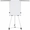 Bi-Office Earth Kyoto Mobile Magnetic Easel, With Paper Roll, With Extendable Arms, Silver