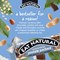 Eat Natural Peanuts and Chocolate Protein Bar, 45g, Pack of 12