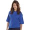 Beeswift Polo Shirt, Royal Blue, Large