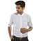 Beeswift Classic Shirt, Short Sleeve, White, 15.5