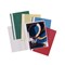 Esselte A4 Report Files, Assorted, Pack of 25