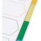 5 Star Elite Plastic File Dividers, 5-Part, Multicoloured Tabs, A4, White