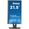 Iiyama Prolite Full HD IPS Monitor, 21.5 Inch, Black