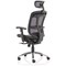 Mirage Executive Chair Headrest, Black Mesh, Arms