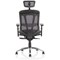 Mirage Executive Chair Headrest, Black Mesh, Arms