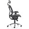 Mirage Executive Chair Headrest, Black Mesh, Arms