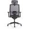 Ergo Twist Operator Chair, Mesh Seat, Mesh Back, With Headrest, Black