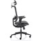 Ergo Twist Operator Chair, Mesh Seat, Mesh Back, With Headrest, Black