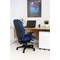 Avior Snowdon Heavy Duty Chair, Blue