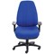 Avior Lucania High Back Task Chair, Blue