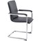 Arista Titan Cantilever Base Skid Feet Visitor Chair, Black/Chrome