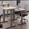 Jemini Sit-Stand Desk, Silver Leg, 1600mm, Grey Oak Top