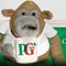 PG Tips Vending Tea, 1kg