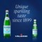 San Pellegrino Sparkling Water, Glass Bottles, 750ml, Pack of 12