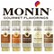 Monin Caramel Sauce, 500ml