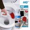 HG Toilet Renovation Cleaning Kit, 500ml