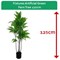 Fixtures Artificial Green Fern Tree, 125cm