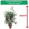 Fixtures Artificial Green Olive Tree, 100cm