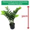 Fixtures Artificial Green Zamioculcas Zamiifolia Tree, 50cm