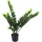 Fixtures Artificial Green Zamioculcas Zamiifolia Tree, 100cm