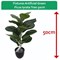 Fixtures Artificial Green Ficus Iyrata Tree, 50cm