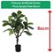 Fixtures Artificial Green Ficus Iyrata Tree, 80cm