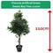 Fixtures Artificial Green Sweet Bay Tree, 110cm