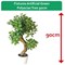 Fixtures Artificial Green Polyscias Tree, 80cm