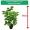 Fixtures Artificial Green Indoor Plant, 50cm