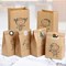 ECO Paper Sandwich & Snack Bags 25pk