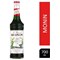 Monin Matcha Green Tea Syrup, 700ml, Glass Bottle