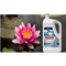 Bold Professional Lotus Flower Laundry Liquid, 4 Litres