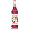 Monin Strawberry/Fraise Syrup, 700ml, Glass Bottle