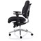 Chiro Plus Ergo Posture Chair, Black