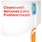 Colgate Max White Medium Toothbrush, Pack of 12