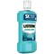 Listerine Cool Mint Mouthwash, 250ml, Pack of 6