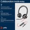 Poly Blackwire 8225 Stereo Microsoft Teams Certified USB-C Headset +USB-C/A Adapter 8X225AA