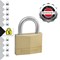 Master Lock 50mm Brass Padlock with 2 Keys