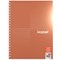 Silvine Luxpad Metallic Wirebound Notebook, A4+, Ruled with Margin, 200 Pages, Assorted, Pack of 3